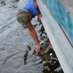 OTRA2014_1593 (September 03, 2014)